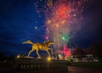 horse statue and fireworks behind it